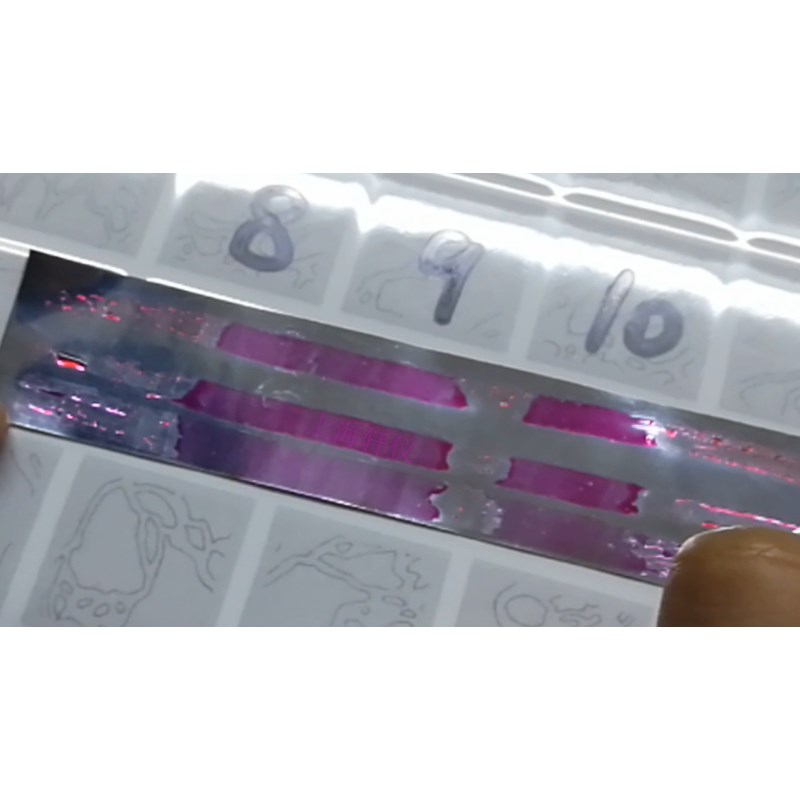 不銹鋼鋼帶等離子表面處理